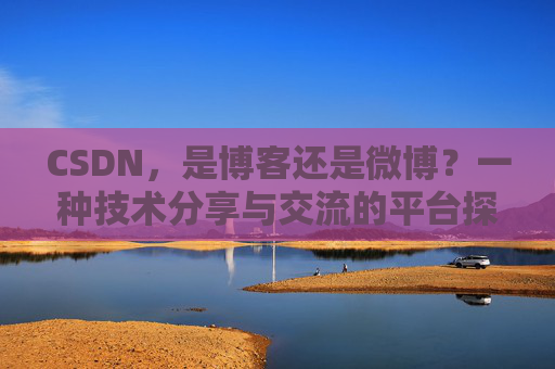 CSDN，是博客还是微博？一种技术分享与交流的平台探讨