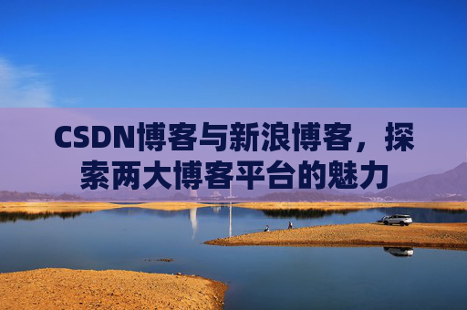 CSDN博客与新浪博客，探索两大博客平台的魅力